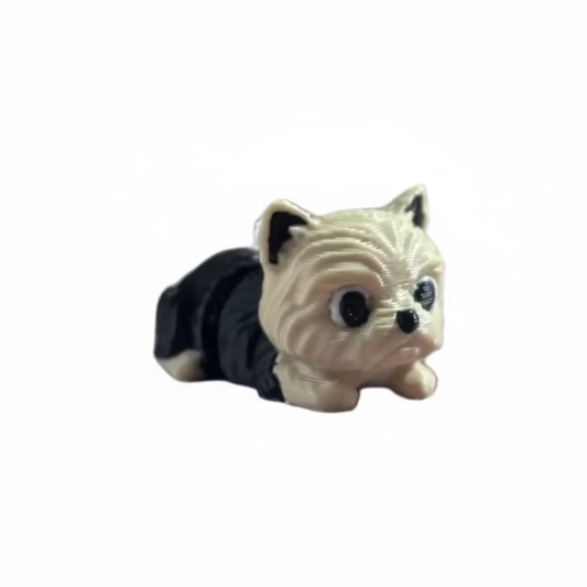 Muffy (yorkie)