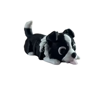 Kira (Border Collie)