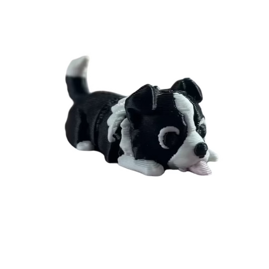 Kira (Border Collie)