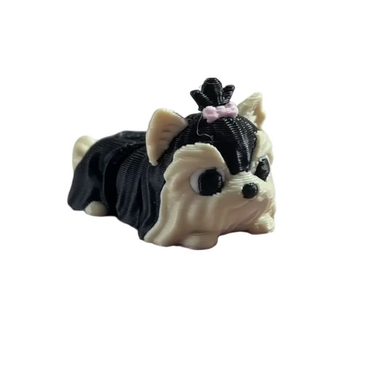 Lucy (Yorkie)