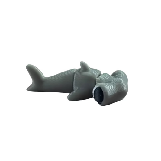 Tolín (Tiburón Martillo)