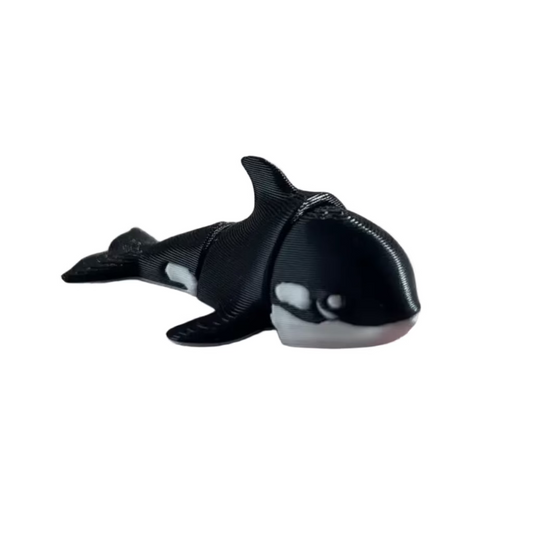 Keiko (Orca)