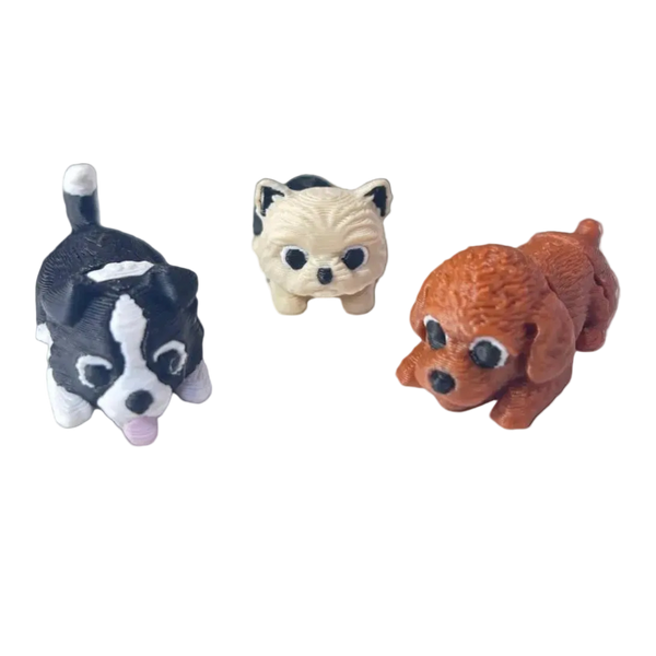 Colección