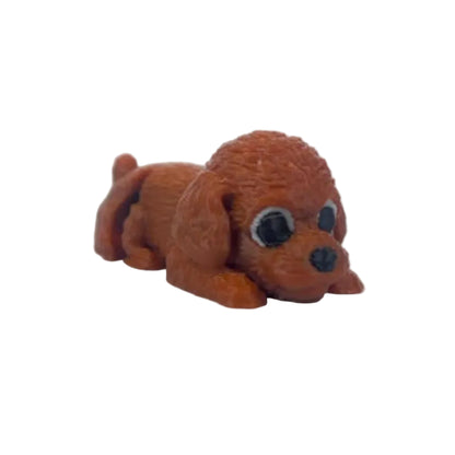 Coco (Caniche)
