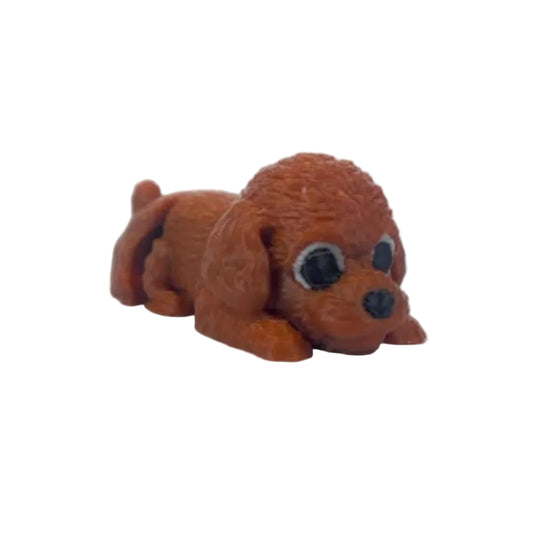 Coco (Caniche)