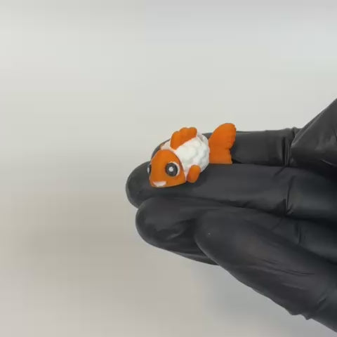 Burbu (Pez)