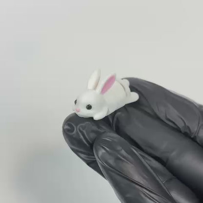 Pelusas (Conejo)