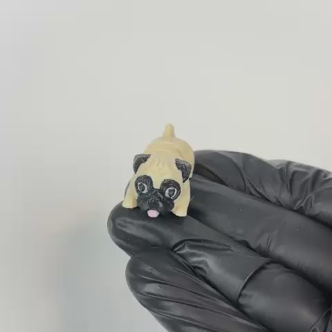 Mochi (Pug)