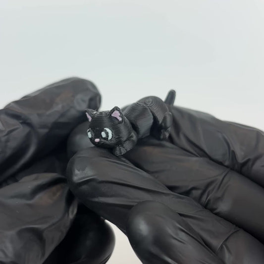 Tizón (Gato Negro)