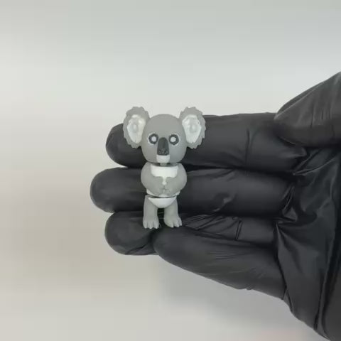 Lulo (Koala)