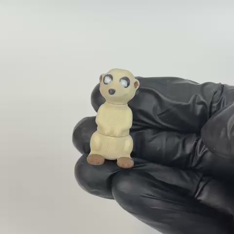 Mika (Suricata)