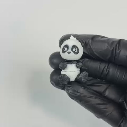 Pandi (Panda)