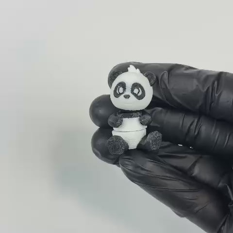 Pandi (Panda)