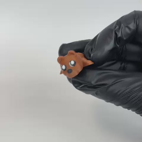 Bongo (oso)