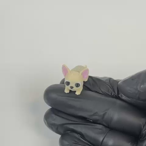Chispa (Chihuahua)