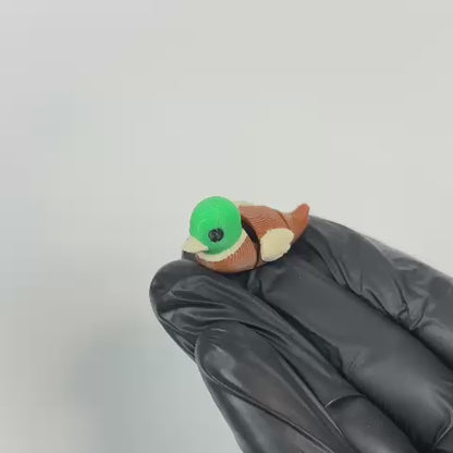 Pipo (Pato)
