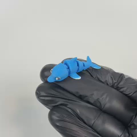 Dori (Delfín)