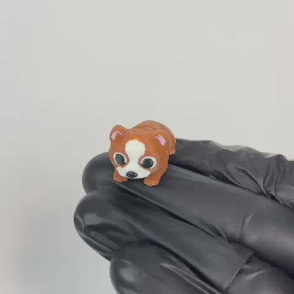 Dior (Pitbull)
